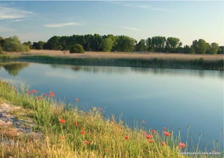 Laguna del Carrizal (Lastras de Cuéllar)
 