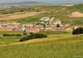 Carbonero de Ahusín
 