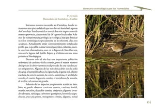 151
Itinerario ornitológico por los humedales
1ª Jornada
Humedales de Cantalejo a Cuéllar
Iniciamos nuestro recorrido en Cantalejo, donde to-
maremos una pista asfaltada que nos llevará hasta las Lagunas
de Cantalejo. Este humedal es uno de los más importantes de
nuestra provincia, con un total de 24 lagunas localizadas. Ade-
más de su importancia geológica y ecológica, hay que destacar
su valor ornitológico especialmente en lo referente a las aves
acuáticas. Actualmente están convenientemente señalizadas
por lo que es posible realizar varios recorridos. Además, cuen-
ta con tres observatorios, uno en la laguna de Navalhornos,
otro en la laguna del Sotillo Bajero y el último en una zona
próxima a Navalayegua.
Durante todo el año hay una importante población
sedentaria de azulón y focha común, pero el mayor número
de especies lo observaremos en el periodo de cría y en los pa-
sos migratorios. Algunas de las más destacables son la polla
de agua, el zampullín chico, la cigüeñuela, la garza real, el pato
cuchara, la cerceta común, la cerceta carretona, el archibebe
común, el rascón, la garceta común, el correlimos, la avoceta,
el avefría y el cormorán grande.
Además de las especies propiamente acuáticas, tam-
bién se puede observar carricero común, carricero tordal,
martín pescador, alcaudón común, abejaruco, jilguero, lavan-
dera boyera, rabilargo, carbonero garrapinos, herrerillo capu-
chicno, pico picapinos, mosquitero común, jilguero, zorzal Rascón
 