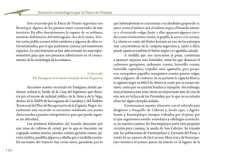 158
Itinerario ornitológico por la Tierra de Pinares
que habitualmente se concentran a su alrededor grupos de ra-
paces como el milano real, el milano negro, el busardo ratone-
ro o el cernícalo vulgar. Junto a ellas aparecen algunos córvi-
dos como el estornino común, la grajilla, la urraca y la corneja.
La silueta en vuelo del buitre leonado es una de las estampas
más características de la campiña segoviana y, junto a ellos,
puede aparecer también el buitre negro o el aguililla calzada.
A medida que nos acercamos al pinar, comienzan
a aparecer especies más forestales, entre las que destacan el
carbonero garrapinos, carbonero común, herrerillo común,
herrerillo capuchino, trepador azul, agateador, pico picapi-
nos, mosquitero papialbo, mosquitero común, pinzón vulgar,
mito y jilguero. Al contrario de su pariente la cigüeña blanca,
la cigüeña negra es difícil de observar, tanto por su escaso nú-
mero, como por su carácter huidizo y tranquilo. Sin embargo,
muy próxima a esta zona existe un importante área de cría de
esta ave, en la finca de los Porretales, por lo que no es extraño
observar algún ejemplar aislado.
Continuamos nuestro itinerario con el vehículo para
dirigirnos a Sauquillo de Cabezas y, desde aquí, a Aguila-
fuente y Fuentepelayo, siempre rodeados por el pinar, por
lo que seguiremos viendo arrendajos y rabilargos cruzándo-
se en nuestro camino. En Fuentepelayo parte otro pequeño
circuito para caminar, la senda de San Cebrián. Su trazado
une las poblaciones de Fuentepelayo y Zarzuela del Pinar a
través de un camino de fácil acceso. Muy cerca de Fuentepe-
layo tenemos el primer punto de interés en la laguna de la
Este recorrido por la Tierra de Pinares segoviana nos
llevará por algunos de los pinares mejor conservados de este
territorio. En ellos descubriremos la riqueza de su avifauna,
mientras disfrutamos del embriagador olor de la resina. Exis-
ten varias publicaciones sobre senderos y algunos de ellos es-
tán señalizados, por lo que podremos caminar por numerosos
espacios. En este itinerario se han seleccionado los más repre-
sentativos para que nos permitan adentrarnos en el conoci-
miento de la ornitología de la comarca.
1ª Jornada
De Turégano al Común Grande de las Pegueras
Iniciamos nuestro recorrido en Turégano, donde po-
demos realizar la Senda de la Casa del Ingeniero que discu-
rre por el monte de utilidad pública de la Nava y de la Vega,
dentro de la ZEPA de las Lagunas de Cantalejo y del Ámbito
Territorial del Plan de Recuperación de la Cigüeña Negra. Ac-
tualmente este recorrido se encuentra señalizado con postes
direccionales y paneles interpretativos para que pueda seguir-
se sin dificultad.
Los primeros kilómetros del trazado discurren por
una zona de cultivos de cereal, por lo que es frecuente ver
cogujada común, terrera, alondra común, gorrión común, go-
rrión chillón, pardillo, jilguero, collalba gris y tarabilla común.
En un tramo del trayecto hay varias naves ganaderas por lo
 