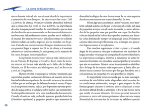 28
La sierra de Guadarrama
diversidad ecológica de estas formaciones. Es en estos espacios
donde encontraremos una mayor diversidad de aves.
Si hay algo que caracterice a estos bosques, es su exce-
lente calidad acústica en la que se mezclan el sonido del agua
de pequeños arroyos con el canto incesante y a veces atrona-
dor de las pequeñas aves que pueblan sus copas. Su distribu-
ción en altitud en las laderas hace posible caminar por distin-
tas cotas disfrutando siempre de un paisaje único. Podríamos
caminar días enteros por la misma zona y siempre nos parece-
rían lugares nuevos e inexplorados.
Para muchos segovianos el olor a pinar y el sonido
alegre de los arroyos y ríos que lo atraviesan son sinónimo de
largas jornadas veraniegas en compañía de nuestros familiares.
La importancia ecológica, histórica y paisajística de estas for-
maciones forestales está vinculada a un uso público y recreativo
que aún se mantiene. Existen varias áreas recreativas distribui-
das a lo largo de los montes más importantes y desde ellas po-
demos iniciar caminos fascinantes por los que descubrir, eso sí
con paciencia, las pequeñas aves que pueblan los pinares.
Es importante tener en cuenta que las aves más repre-
sentativas de este hábitat están adaptadas a vivir en estas du-
ras condiciones ambientales, aunque la gran mayoría de ellas
forman grupos durante el invierno que se desplazan a zonas
de menor altitud donde se atempera el frío y hay menos nieve
que oculte el escaso alimento. De forma general, durante la
primavera e inicio del verano podremos observar una mayor
diversidad de aves muchas de las cuales se exhiben especial-
sierra durante todo el año nos da una idea de la importancia
y extensión de estos bosques. Se sitúan entre las cotas 1.200
a 2.050 m. de altitud, forzando su limite altitudinal habitual
que se sitúa entre los 1.500 m. y los 2.000 m.. La importancia
de estos bosques para el hombre ha contribuido a que su área
de distribución se vea aumentada en detrimento de formacio-
nes boscosas del piedemonte como pueden ser el robledal o
el encinar. Por este motivo no es difícil encontrar en su límite
inferior rodales de ambas especies que se mezclan con los pi-
nos. Cuando nos encontramos en bosques maduros sus tron-
cos pueden llegar a superar los 25 m. de altura y el sustrato
arbustivo es casi inexistente, lo que genera, en la mayoría de
los casos, bosques monoespecíficos.
Los pinares mejor conservados y más extensos son
los de Valsaín, El Espinar y Navafría. En el resto de la sie-
rra crecen de forma más aislada en la falda de la Mujer
Muerta, en El Reventón, en Malangosto, en Las Berrocas
y en Las Colgadizas.
El pino silvestre es una especie robusta y resistente, que
soporta las grandes oscilaciones térmicas de nuestra sierra, las
fuertesheladasacompañadasdenievedelinviernoylosvientos
cálidos que ascienden por las laderas durante el verano. Dispo-
ne de un potente sistema radical que le permite soportar perio-
dos de sequía estival e instalarse sobre suelos casi inexistentes.
Se sitúa preferentemente en la zona más húmeda, la zona norte.
Cuando el suelo es más profundo aparecen grandes helechos
(Pteridium aquilinum) y pequeñas praderas que aumentan la
 