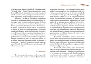 51
El piedemonte serrano
frecuentes es el petirrojo o tripa colorada (Erithacus rubecu-
la). Este pequeño pajarito es muy cosmopolita y puede vivir
prácticamente en cualquier ambiente forestal y húmedo. Es
un ave confiada, por lo que es fácil observarla por el suelo,
dando pequeños saltitos a la caza de cualquier insecto. Du-
rante el invierno también se alimenta de bellotas, pero su
pequeño pico no le permite partir la dura corteza por lo que
requiere de un facilitador que normalmente suele ser el tre-
pador azul. El petirrojo observa a los trepadores que van de-
positando pequeños fragmentos de bellota en los troncos de
los árboles a modo de despensa y recurre a ellos para obtener
el preciado fruto. A los ejemplares sedentarios se suman una
gran cantidad de especies migrantes y otras invernantes por lo
que durante una parte del año el número de petirrojos se ve
aumentado considerablemente.
El herrerillo común (Parus caeruleus) es otra de las
aves frecuentes en el encinar, aunque podemos encontrarla en
muchos otros ambientes forestales. Se alimenta de invertebra-
dos como arañas, coleópteros y dípteros, pero también puede
recurrir a los brotes de distintos árboles y a algunas semillas y
frutos (moras, higos, bayas, etc.).
El verdecillo (Serinus serinus) es una especie cosmo-
polita que se sitúa en bosques arbolados abiertos, junto a zo-
nas llanas donde alimentarse, y su presencia es muy frecuente
en los encinares del piedemonte. Se le identifica fácilmente
por el llamativo color amarillo del pecho que resalta sobre el
fondo verdoso. A los ejemplares sedentarios se suman las ni-
los de Peñarrubias de Pirón, Arevalillo de Cega, Valleruela de
Pedraza, la Velilla y Orejana. Aunque presentan una mayor
diversidad florística la situación de conservación es similar al
resto de encinares, por lo que tampoco encontraremos ejem-
plares de gran porte, excepto en algunos puntos concretos.
En cuanto a las especies ornitológicas que podemos
encontrar, no hay unas gran diferencia entre unos u otros en-
cinares por lo que se tratarán de forma conjunta. De forma
general, predominan las aves insectívoras durante gran parte
del año, especialmente durante la primavera y el verano, cuan-
do se inicia la explosión de insectos tanto en las ramas como
en el pasto del suelo. Las especies sedentarias e invernantes
completan su dieta con la nutritiva bellota, que se convierte
en uno de los principales recursos alimenticios durante las du-
ras condiciones climatológicas del invierno. En cuanto al uso
que hace la avifauna de estas formaciones forestales, podemos
distinguir dos estratos: el suelo y las ramas de las encinas. De
las especies que utilizan únicamente el suelo encontramos al
mirlo común y a la totovía, por ejemplo, mientras que en las
zonas arbóreas la diversidad de especies y abundancia de indi-
viduos es mucho mayor.
a. Paseriformes
Los pájaros o paseriformes, son uno de los grupos de
aves más abundantes en estos ecosistemas. Uno de los más
 