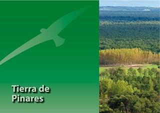 Tierra de
Pinares
 