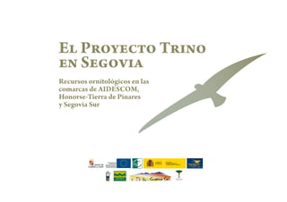 Trino | PPT