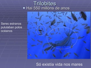 Trilobites  ,[object Object],Só existía vida nos mares  Seres estranos pululaban polos océanos 