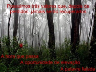 Possuimos três valores que, depois de perdidos, jamais serão recuperados A hora que passa A oportunidade de elevação A palavra falada 