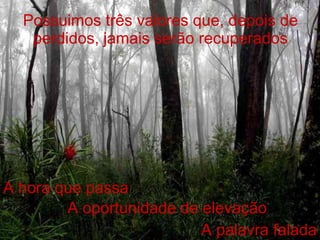Possuimos três valores que, depois de perdidos, jamais serão recuperados A hora que passa A oportunidade de elevação A palavra falada 