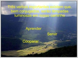 Três verbos importantes existem que, bem conjugados, serão lâmpadas luminosas em nosso caminho Aprender Servir Cooperar 