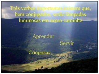 Três verbos importantes existem que, bem conjugados, serão lâmpadas luminosas em nosso caminho Aprender Servir Cooperar 