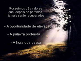 Possuímos três valores  que, depois de perdidos,  jamais serão recuperados - A hora que passa - A oportunidade de elevação - A palavra proferida 