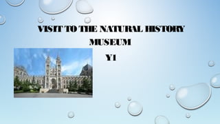 VISIT TO THE NATURAL HISTORY
MUSEUM
Y1
 