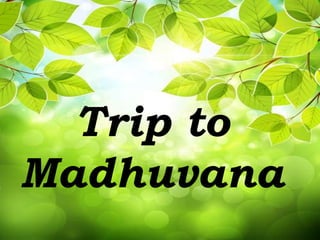 Trip to
Madhuvana
 
