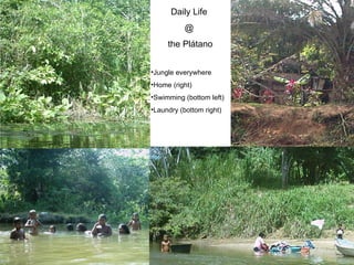 Daily Life  @  the Pl átano Jungle everywhere Home (right) Swimming (bottom left) Laundry (bottom right) 