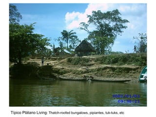 T ípico  Plátano Living :  Thatch-roofed bungalows, pipiantes, tuk-tuks, etc 