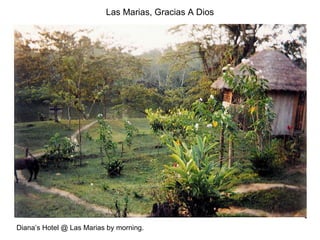 Las Marias, Gracias A Dios Diana’s Hotel @ Las Marias by morning. 