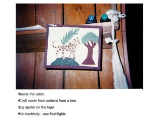 Inside the cabin. Craft made from corteza from a tree Big spider on the tiger No electricity - use flashlights 