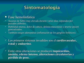Fase hemolinfatica  Accesos de fiebre muy elevada durante varios días, separados por periodos afebriles.  Debilidad intensa, dolor de cabeza, dolores musculares y prurito (picor) generalizados.  También surgen adenopatías (inflamación de los ganglios linfáticos). Los primeros sistemas invadidos son el  cardiovascular, renal y endocrino . Entre otras alteraciones se producen  taquicardias, anemia, edema intenso, alteraciones circulatorias y pérdida de peso. 