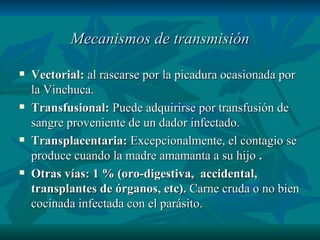 Mecanismos de transmisión Vectorial:  al rascarse por la picadura ocasionada por la Vinchuca. Transfusional:  Puede adquirirse por transfusión de sangre proveniente de un dador infectado. Transplacentaria:  Excepcionalmente, el contagio se produce cuando la madre amamanta a su hijo  . Otras vías: 1 % (oro-digestiva,  accidental, transplantes de órganos, etc).  Carne cruda o no bien cocinada infectada con el parásito. 