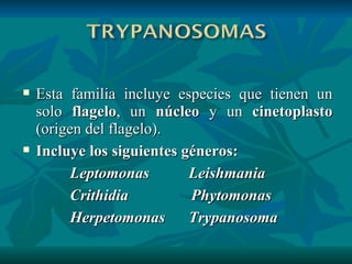 Esta familia incluye especies que tienen un solo  flagelo , un  núcleo  y un  cinetoplasto  (origen del flagelo). Incluye los siguientes géneros:  Leptomonas  Leishmania Crithidia  Phytomonas Herpetomonas  Trypanosoma 