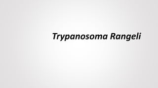 Trypanosoma Rangeli
 