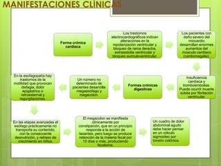 MANIFESTACIONES CLÍNICAS


                                                                     Los trastornos                   Los pacientes con
                                                             electrocardiográficos indican             daño severo del
                                                                   alteraciones en la                     miocardio
                                Forma crónica
                                                              repolarización ventricular y           desarrollan enormes
                                  cardíaca
                                                              bloqueo de rama derecha,                   aumentos del
                                                               extrasistolia ventricular y            músculo cardíaco
                                                             bloqueo auriculoventricular.              (cardiomegalia).




  En la esofagopatía hay
                                                                                                          Insuficiencia
      trastornos de la                   Un número no
                                                                                                           cardíaca y
  motilidad que provocan                determinado de
                                                                       Formas crónicas                 tromboembolias.
       disfagia, dolor                pacientes desarrolla
                                                                          digestivas                 Puede ocurrir muerte
        epigástrico o                   megaesófago y
                                                                                                     súbita por fibrilación
       retroesternal y                    megacolon.
                                                                                                           ventricular.
     regurgitaciones.




                                           El megacolon se manifiesta
  En las etapas avanzadas el                     clínicamente por                     Un cuadro de dolor
   esófago prácticamente no              constipación, que en un principio            abdominal agudo
    transporta su contenido,                 responde a la acción de                  debe hacer pensar
       con la consecuente                laxantes, pero luego se produce              en un vólvulo
   desnutrición, y retraso de            retención de la materia fecal por            sigmoideo por
      crecimiento en niños.                10 días o más, produciendo                 torsión colónica.
                                                     fecaloma.
 