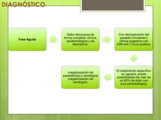 DIAGNÓSTICO



                   Debe efectuarse de         Con demostración del
                 forma completa: clínica,      parásito circulante o
    Fase Aguda
                   epidemiológica y de         clínica sugestiva con
                       laboratorio.          IGM anti T.cruzi positiva.




                                             El tratamiento específico
                    (negativización de
                                                 en agudos, posee
                 parasitemia) y serológica
                                             posibilidades de más de
                    (negativización de
                                               un 60% de éxito con
                        serología).
                                                cura parasitológica.
 