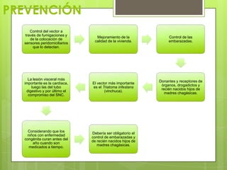 PREVENCIÓN
     Control del vector a
  través de fumigaciones y
                                 Mejoramiento de la              Control de las
     de la colocación de
                                calidad de la vivienda.          embarazadas.
  sensores peridomiciliarios
       que lo detectan.




    La lesión visceral más
                                                            Donantes y receptores de
  importante es la cardíaca,   El vector más importante
                                                             órganos, drogadictos y
      luego las del tubo       es el Triatoma infestans
                                                             recién nacidos hijos de
   digestivo y por último el          (vinchuca).
                                                               madres chagásicas.
    compromiso del SNC.




    Considerando que los
                               Debería ser obligatorio el
   niños con enfermedad
                               control de embarazadas y
  congénita curan antes del
                               de recién nacidos hijos de
      año cuando son
                                  madres chagásicas.
    medicados a tiempo.
 