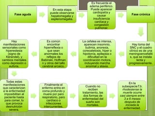 Es frecuente el
                                                   edema periférico.
                             En esta etapa          Puede aparecer
                           puede observarse          cardiopatía y
        Fase aguda                                      causar                 Fase crónica
                            hepatomegalia y
                            esplenomegalia.          insuficiencia
                                                      cardíaca y
                                                      congestión
                                                       pulmonar.



       Hay               Es común             La cefalea es intensa,
 manifestaciones          encontrar            aparecen insomnio,              Hay toma del
sensoriales como       hiperreflexia o          bulimia, anorexia,           SNC y el cuadro
  hiperestesia            que sean            coreoatetosis, hiper o         clínico es de una
   (signo de           anormales los          hipotonía, epilepsia o         meningoencefaliti
  Kérandel), y           reflejos de              dificultad en la           s, que se instala
cambios mentales     Babinski, Hoffman        coordinación motora,                 lenta y
como depresión o     n y otros del tallo       incluyendo marcha             progresivamente.
    euforia.          cerebral arcaico.         anormal y ataxia.




   Todas estas
                                                                               En la
manifestaciones        Finalmente el
                                                 Cuando no              subespecieT.b.
que caracterizan     enfermo entra en
                                                   reciben               rhodesiense la
a la enfermedad      coma profundo y
                                              tratamiento, las           muerte ocurre
 imposibilitan al     muere por paro
                                               dos formas de           casi siempre entre
 paciente hasta      respiratorio, paro
                                              enfermedad del              3 a 6 meses
  para comer, lo         cardíaco o
                                                 sueño son                 después de
   que provoca          infecciones
                                                  mortales.                 iniciada la
   desnutrición       intercurrentes.
                                                                          enfermedad.
     severa.
 