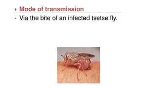 INTERNAL MEDICINE, INFECTIOUS DISEASES TRIPANOSOMIASIS.pptx