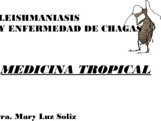 LEISHMANIASIS
Y ENFERMEDAD DE CHAGAS
Dra. Mary Luz Soliz
MEDICINA TROPICAL
 