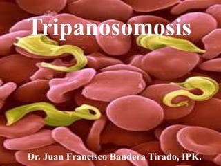 Tripanosomosis
Dr. Juan Francisco Bandera Tirado, IPK.
 