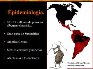 20 a 25 millones de personas albergan el parásito. Gran parte de Suramérica América Central. México centrales y norteños. Afecta mas a los lactantes. Epidemiología. 