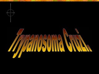 Trypanosoma Cruzi. 