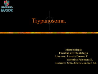 Trypanosoma. Microbiología Facultad de Odontología Alumnas: Lissette Donoso F. Valentina Palomera E. Docente:  Srta. Arlette Jiménez  M. 