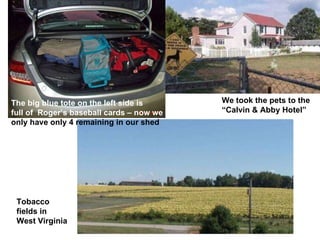 We took the pets to the “ Calvin & Abby Hotel” The big blue tote on the left side is full of  Roger’s baseball cards – now we only have only 4 remaining in our shed Tobacco fields in West Virginia 
