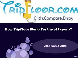 How TripFloor Works For travel Experts?
 