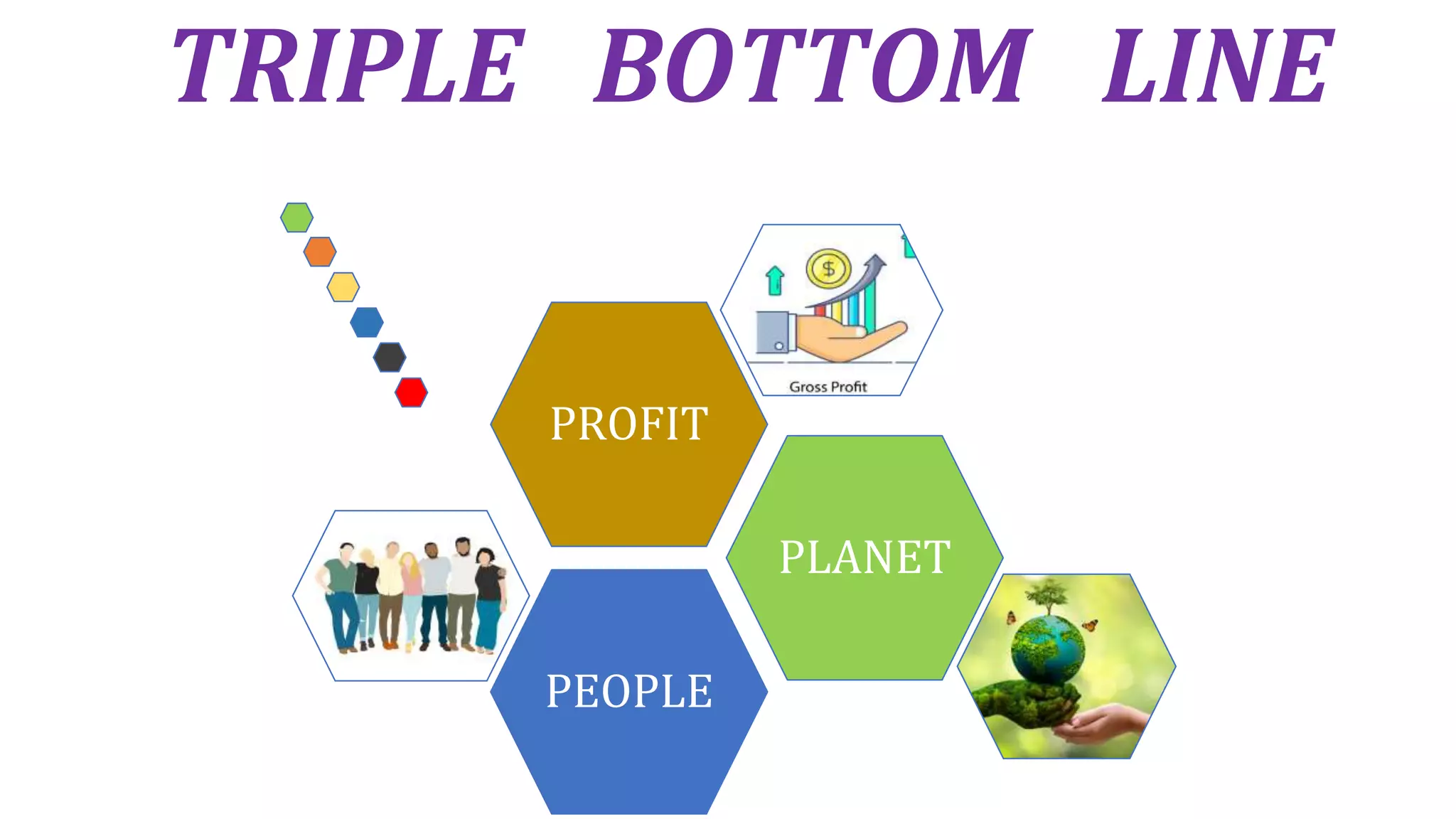 TRIPLE BOTTOM LINE
PEOPLE
PLANET
PROFIT