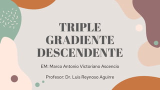 TRIPLE
GRADIENTE
DESCENDENTE
EM: Marco Antonio Victoriano Ascencio
Profesor: Dr. Luis Reynoso Aguirre
 