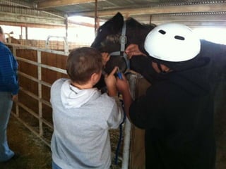 MHM Funded Partner Spotlight - Triple H Equitherapy Center