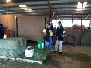 MHM Funded Partner Spotlight - Triple H Equitherapy Center