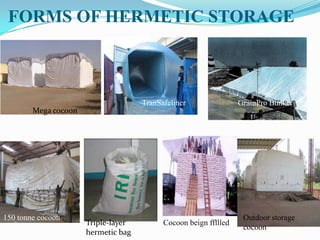 FORMS OF HERMETIC STORAGE
Mega cocoon
TranSafeliner GrainPro Bunker
150 tonne cocoon
Cocoon beign ffllled
Outdoor storage
cocoon
Triple-layer
hermetic bag
 