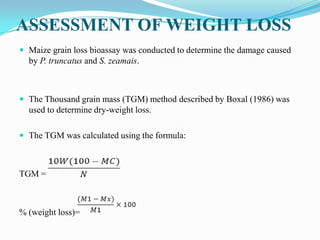 ASSESSMENT OF WEIGHT LOSS
 Maize grain loss bioassay was conducted to determine the damage caused
by P. truncatus and S. zeamais.
 The Thousand grain mass (TGM) method described by Boxal (1986) was
used to determine dry-weight loss.
 The TGM was calculated using the formula:
TGM =
% (weight loss)=
 