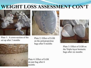 WEIGHT LOSS ASSESSMENT CON’T
Plate 1: A cross-section of the
set up after 3 months
Plate 2: Effect of LGB
on the polypropylene
bags after 6 months
Plate 3: Effect of LGB on
the Triple-layer hermetic
bags after six months
Plate 4: Effect of LGB
on jute bag after 6
months
 