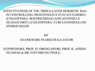 EFFECTIVENESS OF THE TRIPLE-LAYER HERMETIC BAG
IN CONTROLLING PROSTEPHANUS TUNCATUS (HORN)
(COLEOPTERA: BOSTRICHIDAE) AND ...