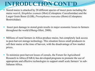 INTRODUCTION CONT’D
 Stored maize is attacked by 20 different species of insect pests including the
maize weevil, Sitophilus zeamais (Mot) (Coleoptera: Curculionidae) and the
Larger Grain Borer (LGB), Prostephanus truncatus (Horn) (Coleoptera:
Bostrichidae).
 Insect pest damage to stored grain results in major economic losses to farmers
throughout the world (Obeng-Ofori, 2008).
 Millions of rural farmers in Africa produce maize, but completely lack access
to post-harvest storage technology. This situation forces small producers to
sell their maize at the time of harvest, with the disadvantage of low market
prices.
 To minimize post-harvest losses of cereals, the Forum for Agricultural
Research in Africa (FARA) has developed programs to promote the use of
appropriate and effective technologies to support small scale farmers’ in sub-
Saharan Africa.
 