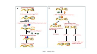 MANAGEMENT OF TRIPLE NEGATIVE BREAST CANCER.pptx
