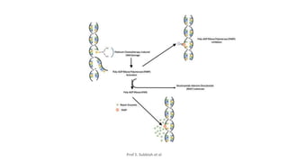 MANAGEMENT OF TRIPLE NEGATIVE BREAST CANCER.pptx