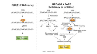 MANAGEMENT OF TRIPLE NEGATIVE BREAST CANCER.pptx