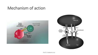 MANAGEMENT OF TRIPLE NEGATIVE BREAST CANCER.pptx