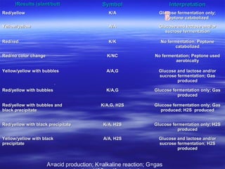 Results (slant/buttResults (slant/butt(( SymbolSymbol InterpretationInterpretation
Red/yellowRed/yellow K/AK/A Glucose fermentation only;Glucose fermentation only;
Peptone catabolizedPeptone catabolized
Yellow/yellowYellow/yellow A/AA/A Glucose and lactose and/orGlucose and lactose and/or
sucrose fermentationsucrose fermentation
Red/redRed/red K/KK/K No fermentation; PeptoneNo fermentation; Peptone
catabolizedcatabolized
Red/no color changeRed/no color change K/NCK/NC No fermentation; Peptone usedNo fermentation; Peptone used
aerobicallyaerobically
Yellow/yellow with bubblesYellow/yellow with bubbles A/A,GA/A,G Glucose and lactose and/orGlucose and lactose and/or
sucrose fermentation; Gassucrose fermentation; Gas
producedproduced
Red/yellow with bubblesRed/yellow with bubbles K/A,GK/A,G Glucose fermentation only; GasGlucose fermentation only; Gas
producedproduced
Red/yellow with bubbles andRed/yellow with bubbles and
black precipitateblack precipitate
K/A,G, H2SK/A,G, H2S Glucose fermentation only; GasGlucose fermentation only; Gas
produced; H2S producedproduced; H2S produced
Red/yellow with black precipitateRed/yellow with black precipitate K/A, H2SK/A, H2S Glucose fermentation only; H2SGlucose fermentation only; H2S
producedproduced
Yellow/yellow with blackYellow/yellow with black
precipitateprecipitate
A/A, H2SA/A, H2S Glucose and lactose and/orGlucose and lactose and/or
sucrose fermentation; H2Ssucrose fermentation; H2S
producedproduced
A=acid production; K=alkaline reaction; G=gas
 